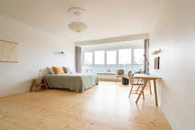 Habitación privada en alquiler por 13.218 DKK al mes en Frederiksberg, Falkoner Alle