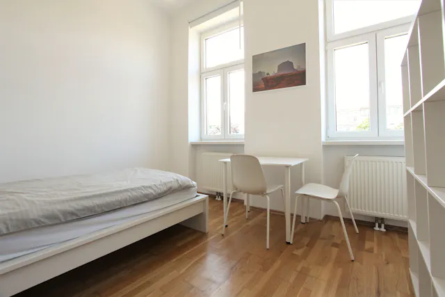 1-Bedroom Apartment in Lerchenfelder Gürtel, Vienna (1096838) room image 1