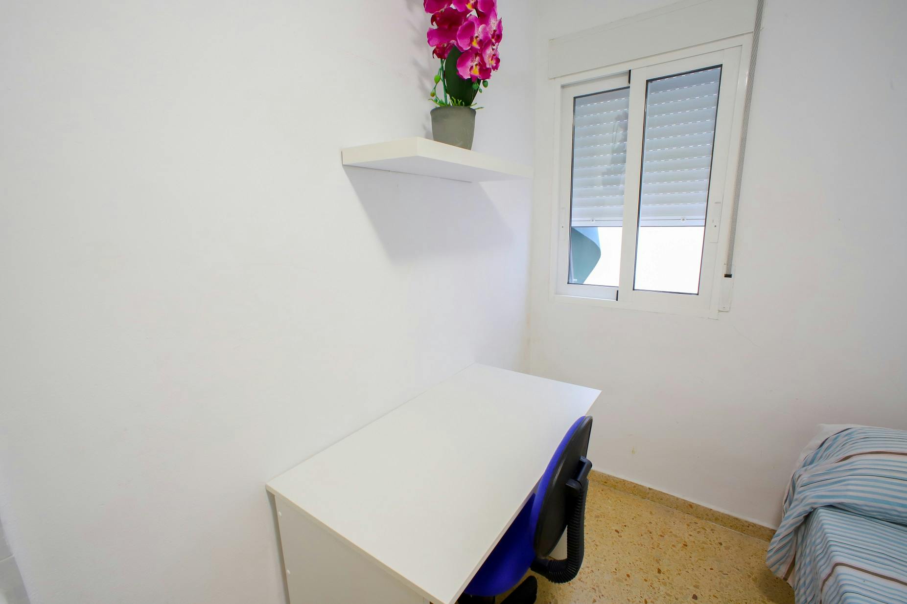 Apartment Valencia — photo 4