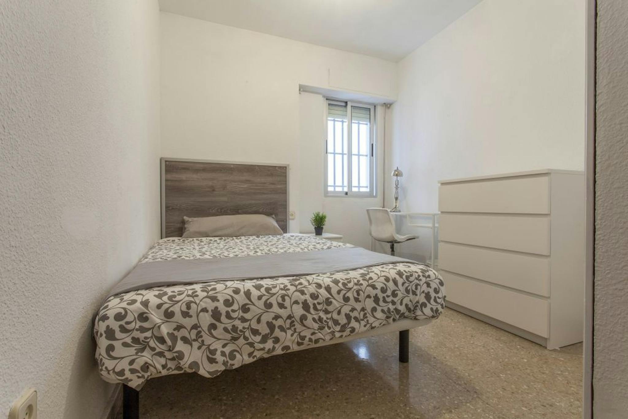 Avenida de la Constitución, Valencia preview