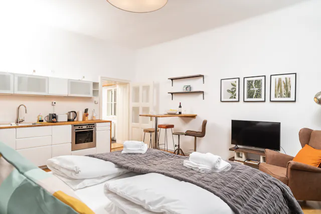 Apartment in Otto-Bauer-Gasse, Vienna (1099527) room image 2
