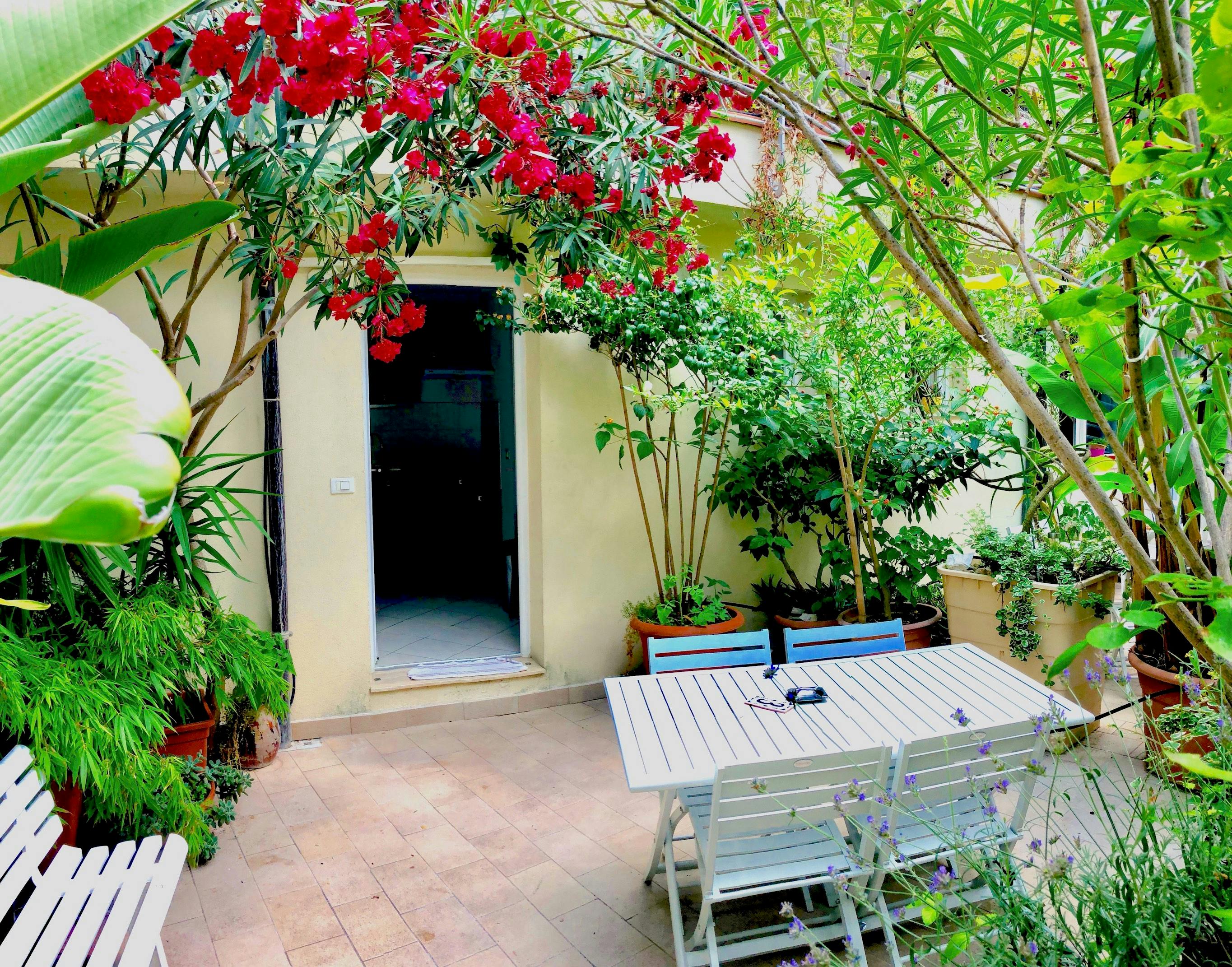 Studio zu mieten für 760 € pro Monat in Nice, Rue Barbéris