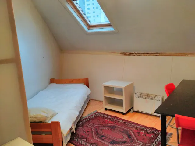 Private room in Rue Fontainas, Saint-Gilles (1101395) room image 1