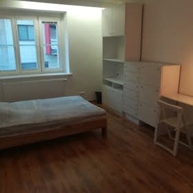 Private room for rent for €500 per month in Vienna, Herzgasse