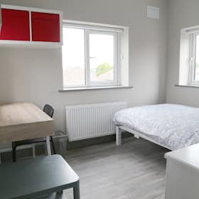 Private room for rent for €1,235 per month in Dublin, The Rise