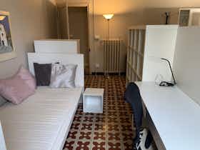 Shared room for rent for €450 per month in Florence, Viale Giuseppe Mazzini