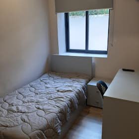 Private room for rent for €345 per month in Porto, Rua da Nau Vitória