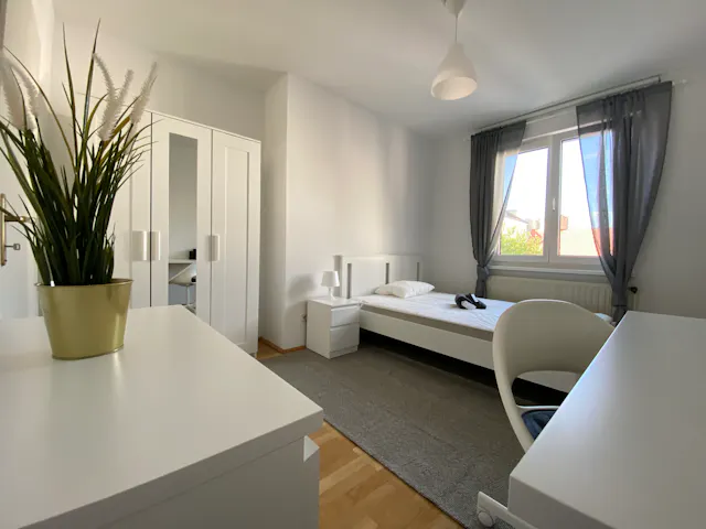 Private room in Schäffergasse, Vienna (1110565) room image 1