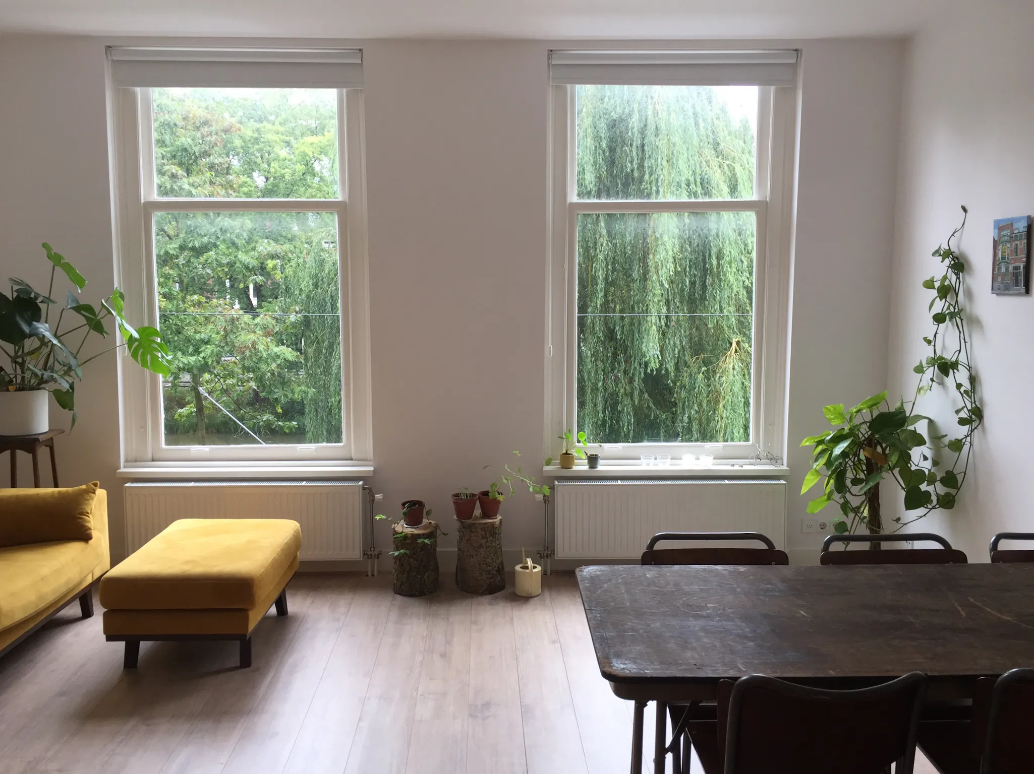 1-Bedroom Apartment in Provenierssingel, Rotterdam (1112718) ROOM 4