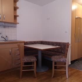 Apartamento en alquiler por 1100 € al mes en Ljubljana, Ilirska ulica