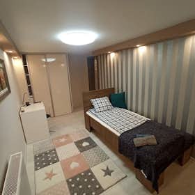 Private room for rent for HUF 175,232 per month in Budapest, Teréz körút