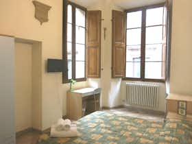 Mehrbettzimmer zu mieten für 480 € pro Monat in Siena, Via del Porrione