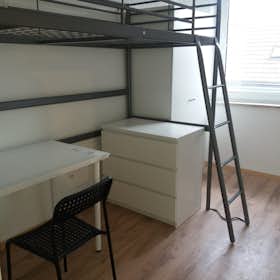 Private room for rent for €320 per month in Dortmund, Steinhammerstraße