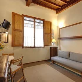 Studio for rent for € 820 per month in Florence, Vicolo degli Adimari