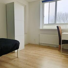 Private room for rent for €875 per month in Rotterdam, Den Uylsingel