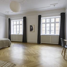 Private room for rent for €1,663 per month in Copenhagen, Esplanaden