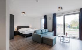 单间公寓 正在以 €2,799 的月租出租，其位于 Amsterdam, Ditlaar