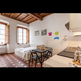 Studio for rent for 850 € per month in Florence, Via di San Giuseppe