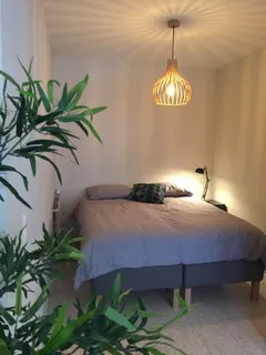 1-Bedroom Apartment in Rue de la Reinette, Brussels (1122184) room image 2