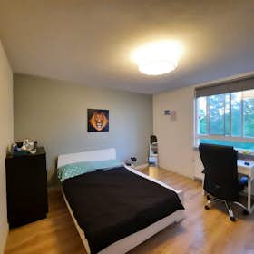 Private room for rent for €900 per month in Rotterdam, Den Uylsingel