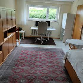 单间公寓 正在以 €700 的月租出租，其位于 Baden-Baden, Hafnerweg