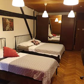 Private room for rent for €700 per month in Ljubljana, Breg
