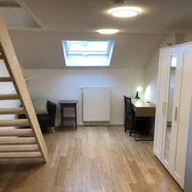 Private room for rent for €635 per month in Schaerbeek, Rue Dupont