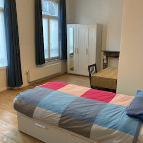 Private room for rent for €595 per month in Schaerbeek, Rue Dupont