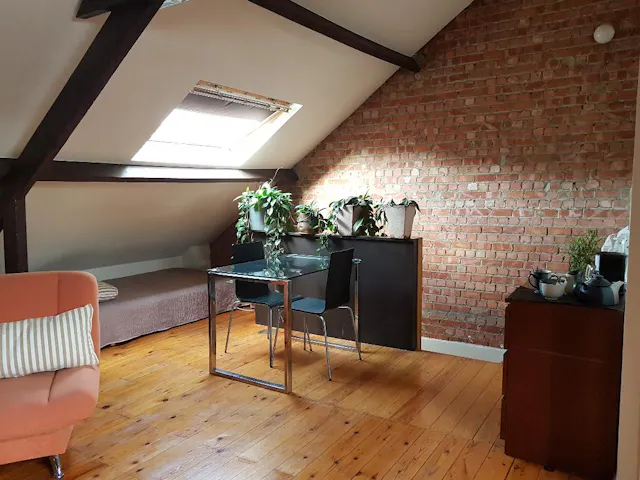 1-Bedroom Apartment in Rue Aimé Smekens, Schaerbeek (1125118) room image 2