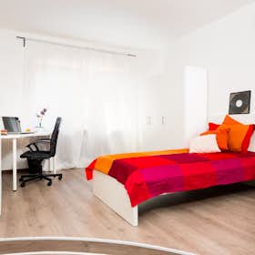 Privé kamer te huur voor € 530 per maand in Turin, Via Giovanni Argentero