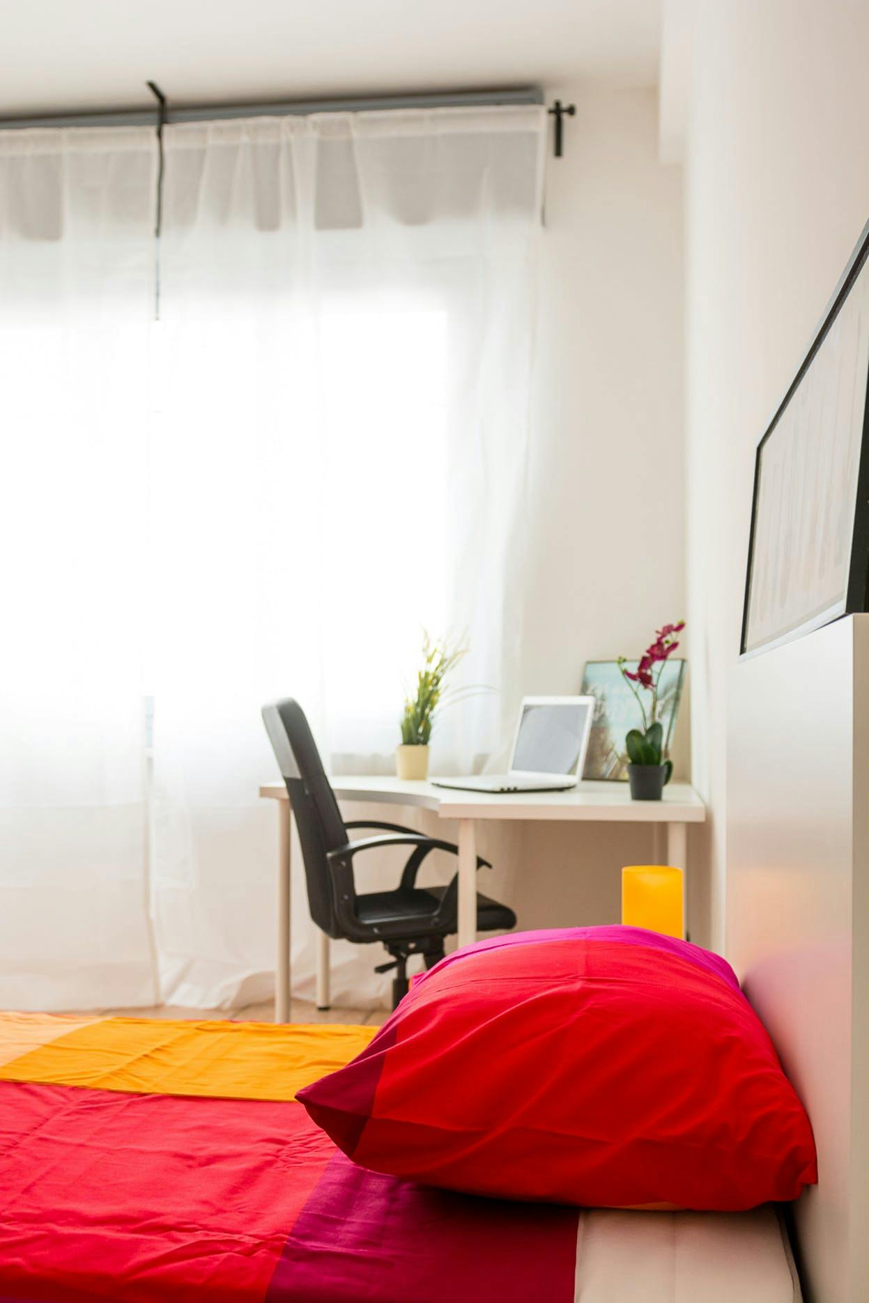 Single room Turin, 1 bed, 14m² — photo 5