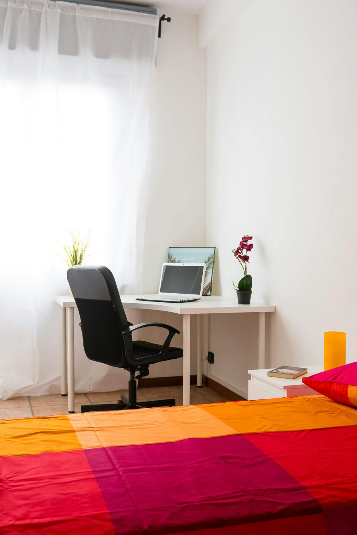 Single room Turin, 1 bed, 14m² — photo 2