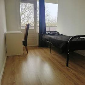 Private room for rent for €875 per month in Rotterdam, Den Uylsingel