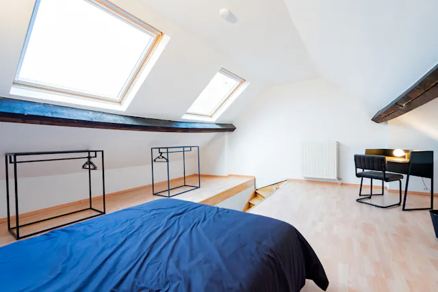 Private room in Rue de la Linière, Saint-Gilles (1127311) room image 2
