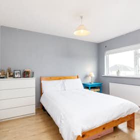 Private room for rent for €1,235 per month in Dublin, Seven Oaks