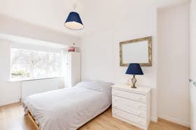 Отдельная комната сдается в аренду за 1 380 € в месяц в Dublin, Seven Oaks