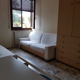 Private room for rent for €525 per month in Pisa, Via San Giuseppe Benedetto Cottolengo
