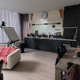 Apartment for rent for €2,000 per month in Schiedam, Broersveld