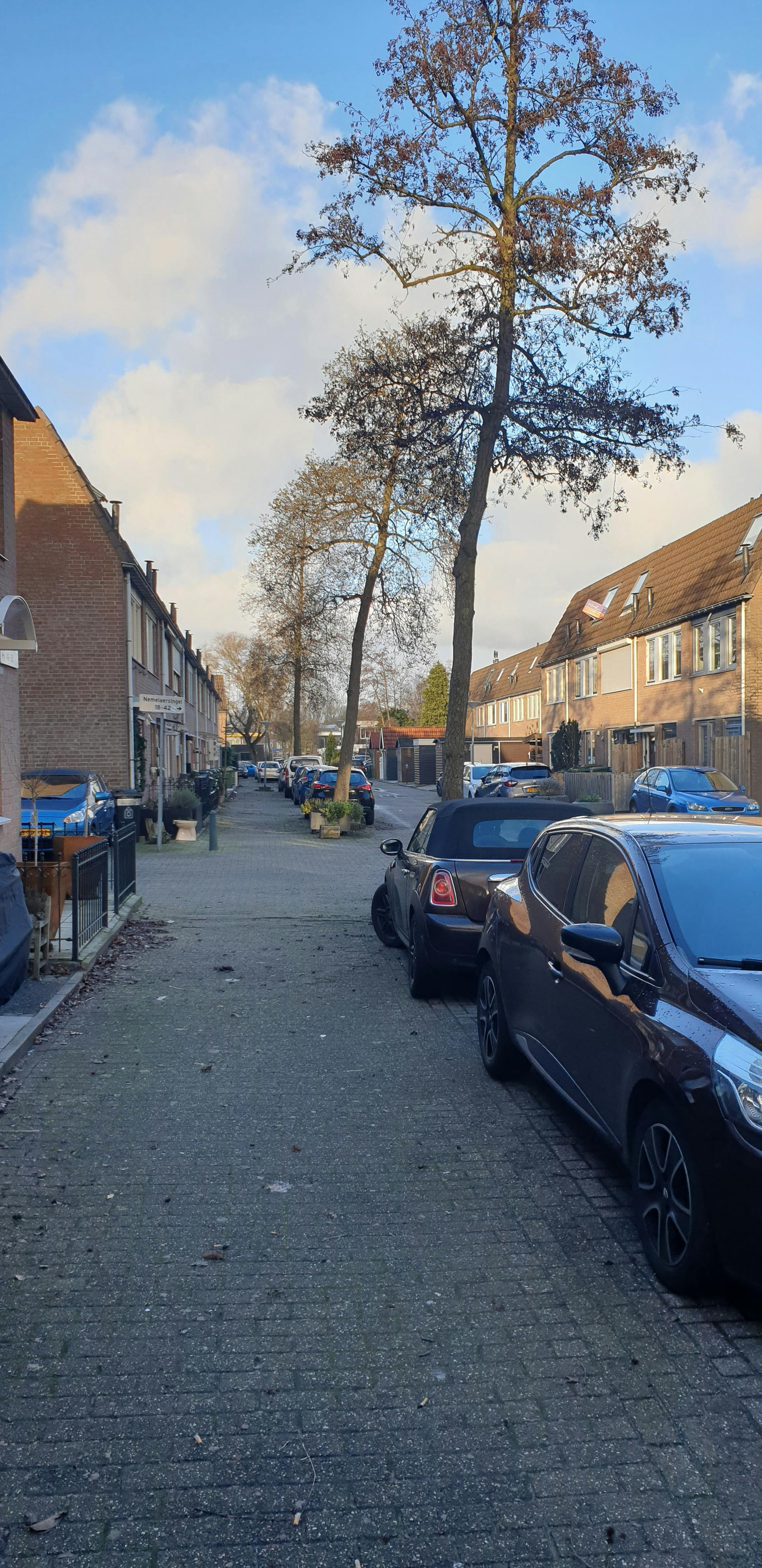 Apartment Rotterdam, 22m² — photo 28