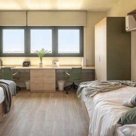 Mehrbettzimmer zu mieten für 594 € pro Monat in Sevilla, Calle Elche