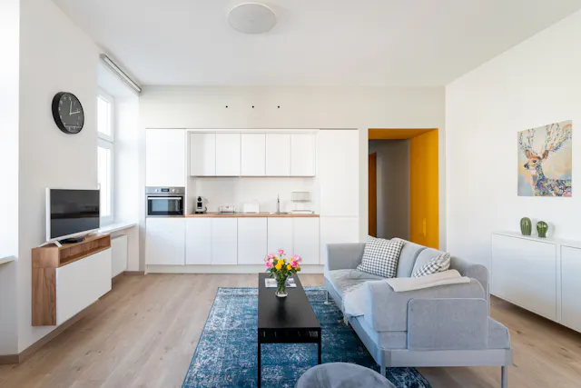 1-Bedroom Apartment in Theresiengasse, Vienna (1129728) room image 50