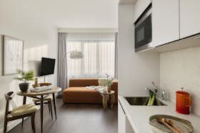 单间公寓 正在以 €2,800 的月租出租，其位于 The Hague, Grote Marktstraat