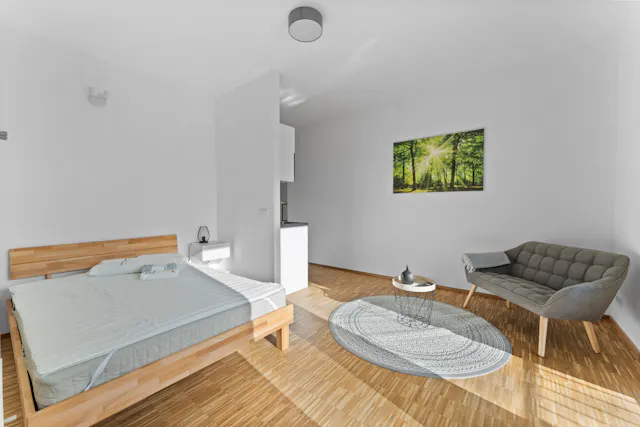 1-Bedroom Apartment in Wisbyer Straße, Berlin (1130684) room image 18