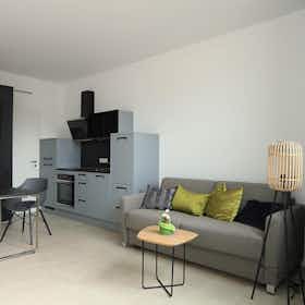 Studio for rent for €2,050 per month in Bonn, Maximilianstraße
