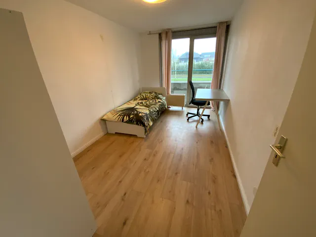 Private room in Jacques Dutilhweg, Rotterdam (1131200) room image 1