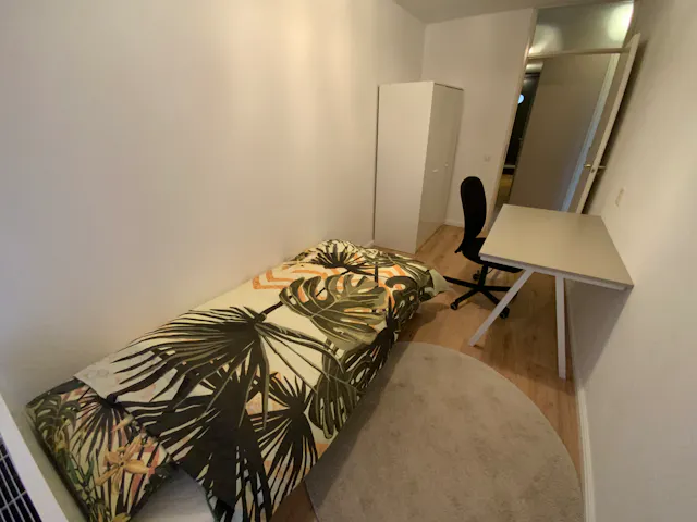 Private room in Jacques Dutilhweg, Rotterdam (1131215) room image 2