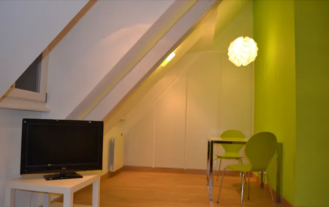 1-Bedroom Apartment in Rue du Maroquin, Strasbourg (1131557) room image 2