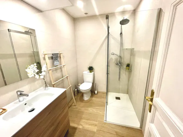 Private room in Calle de Toledo, Madrid (1131695) room image 16