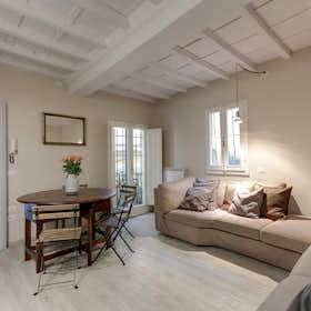 Apartment for rent for €2,000 per month in Florence, Via dei Serragli