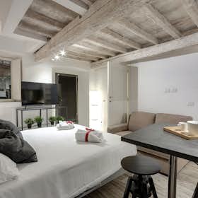 Studio for rent for €2,000 per month in Florence, Via dei Serragli